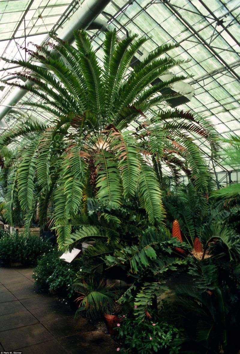 Climate Refugees Find California Home