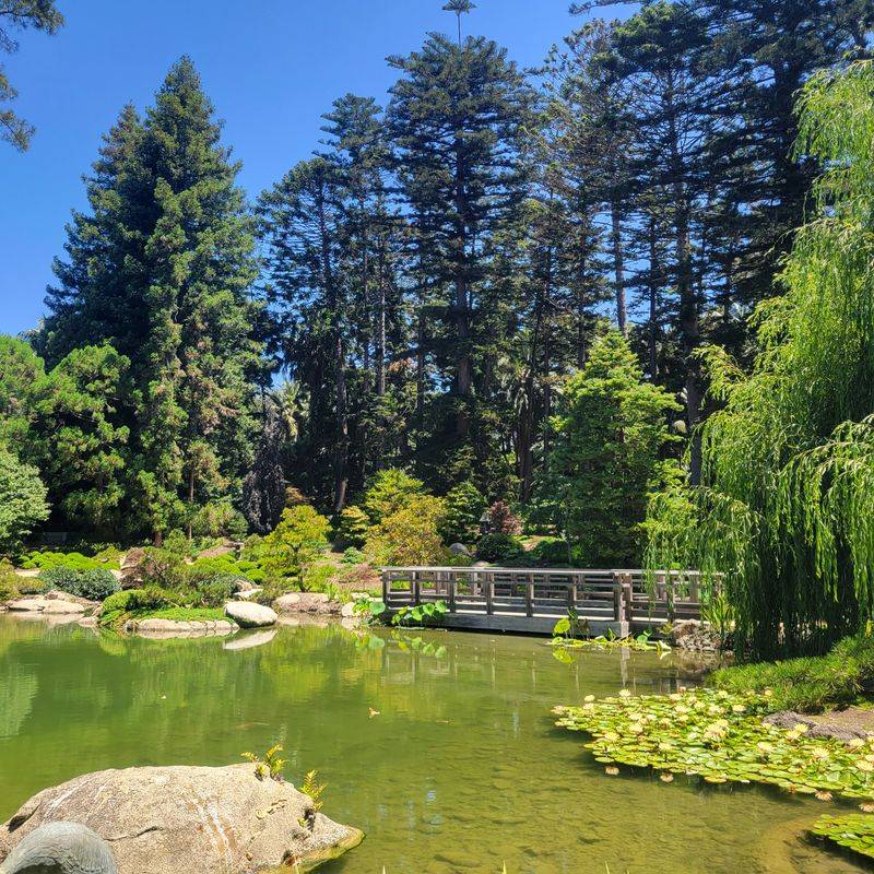 A Hidden Garden Tucked Away In Montecito