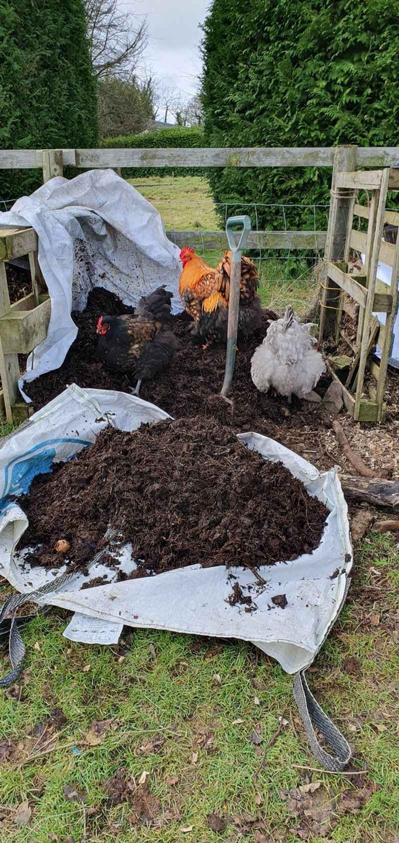 Apply Mulch After Soil Has Fully Warmed In Spring