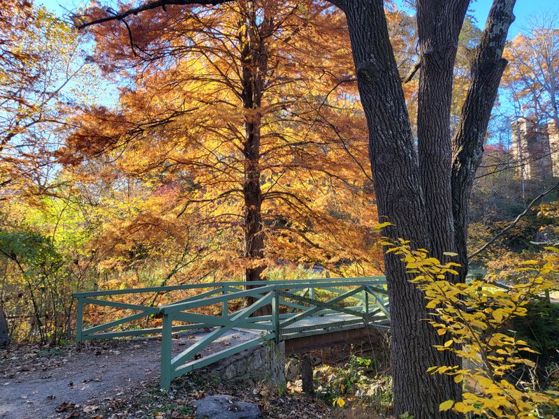 Asheville Botanical Garden