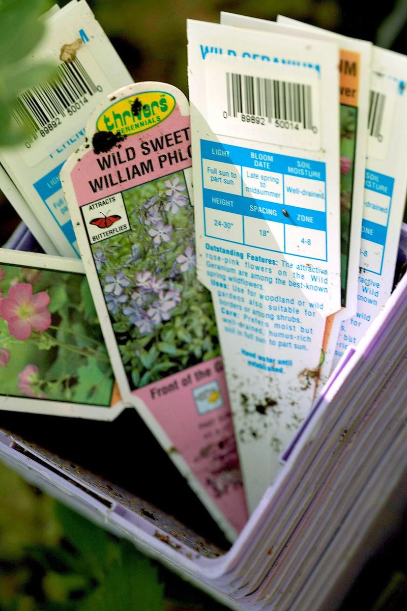 The Costly Label Detail Most Florida Gardeners Miss