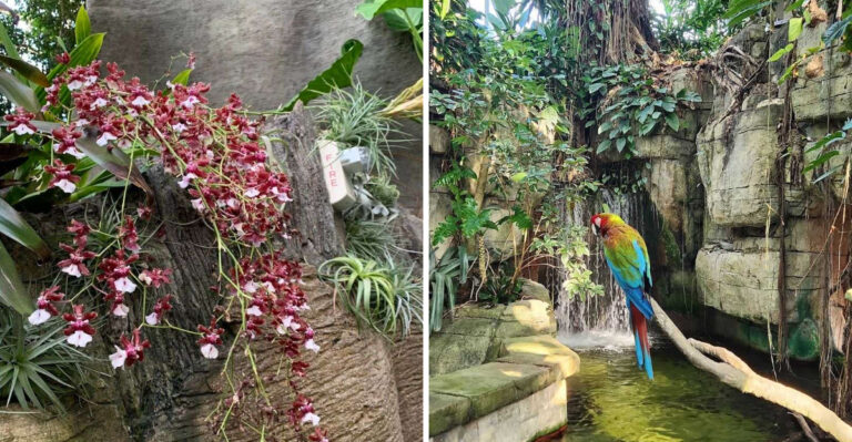 The Real Reason Why This Popular Texas Garden Should Be On Your 2026 List