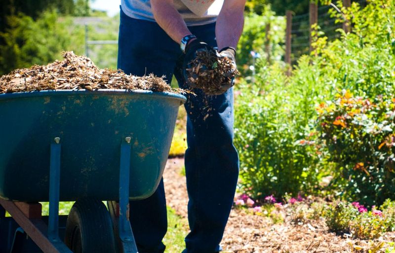 Signs Your Garden Isn't Ready 