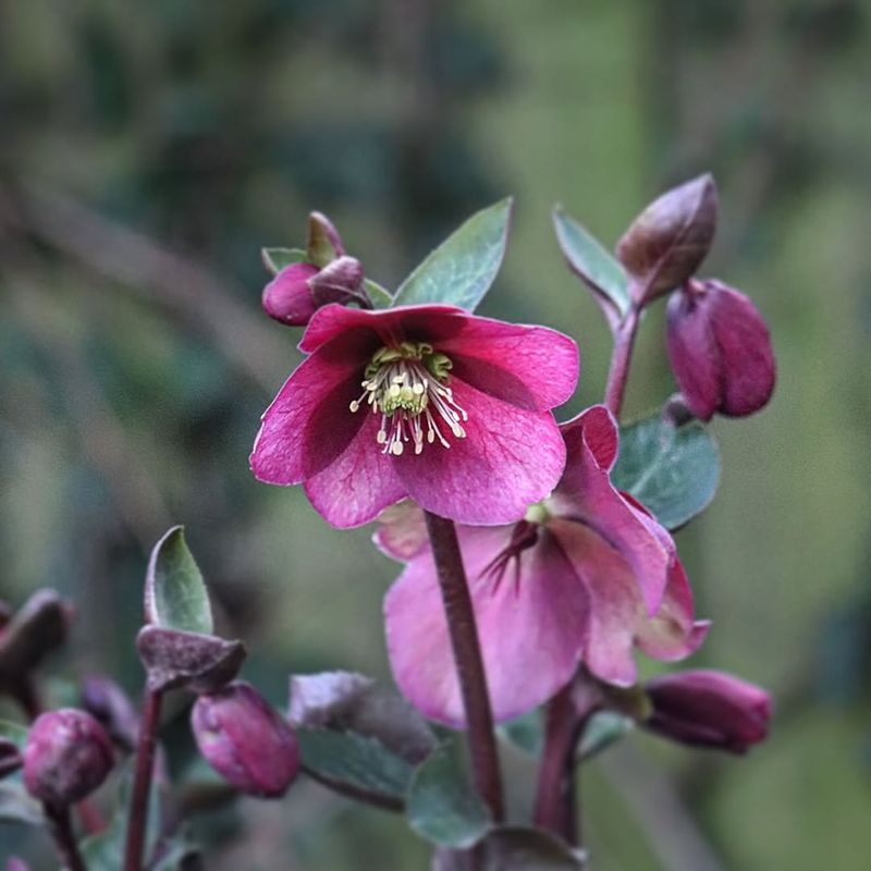 What Happens If You Wait Too Long