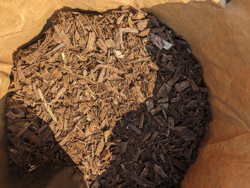 The Right Mulch For Hot Weather