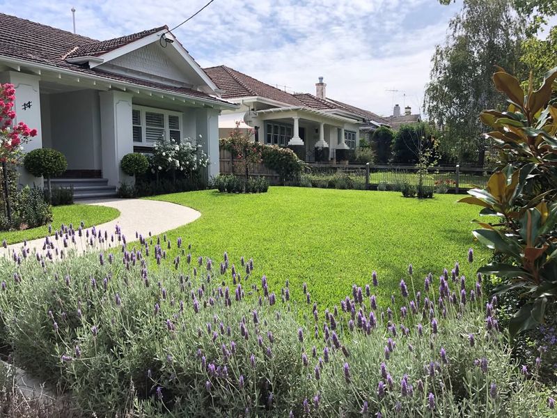 Natural Pest-Repelling Power