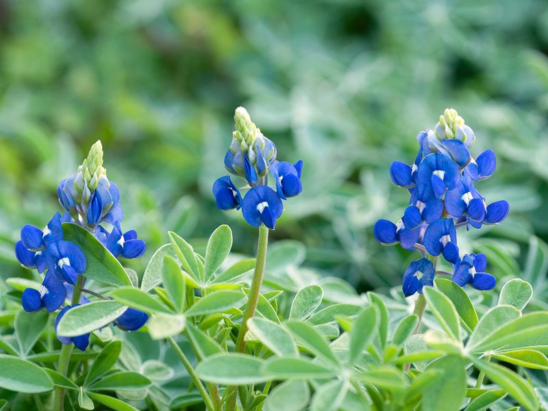 Plant Seeds At The Right Time