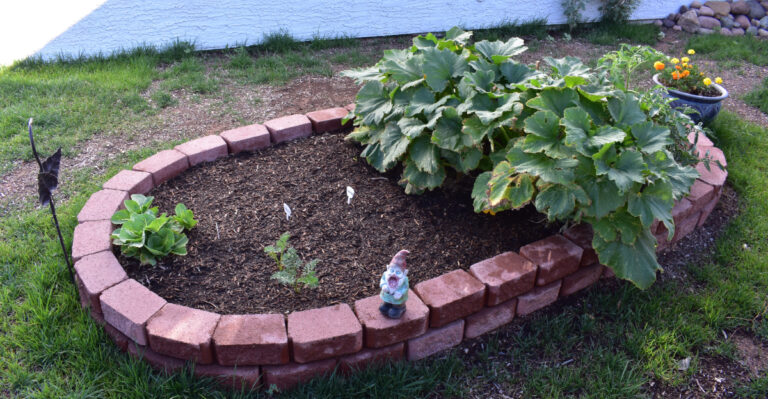raised beds (featured image)