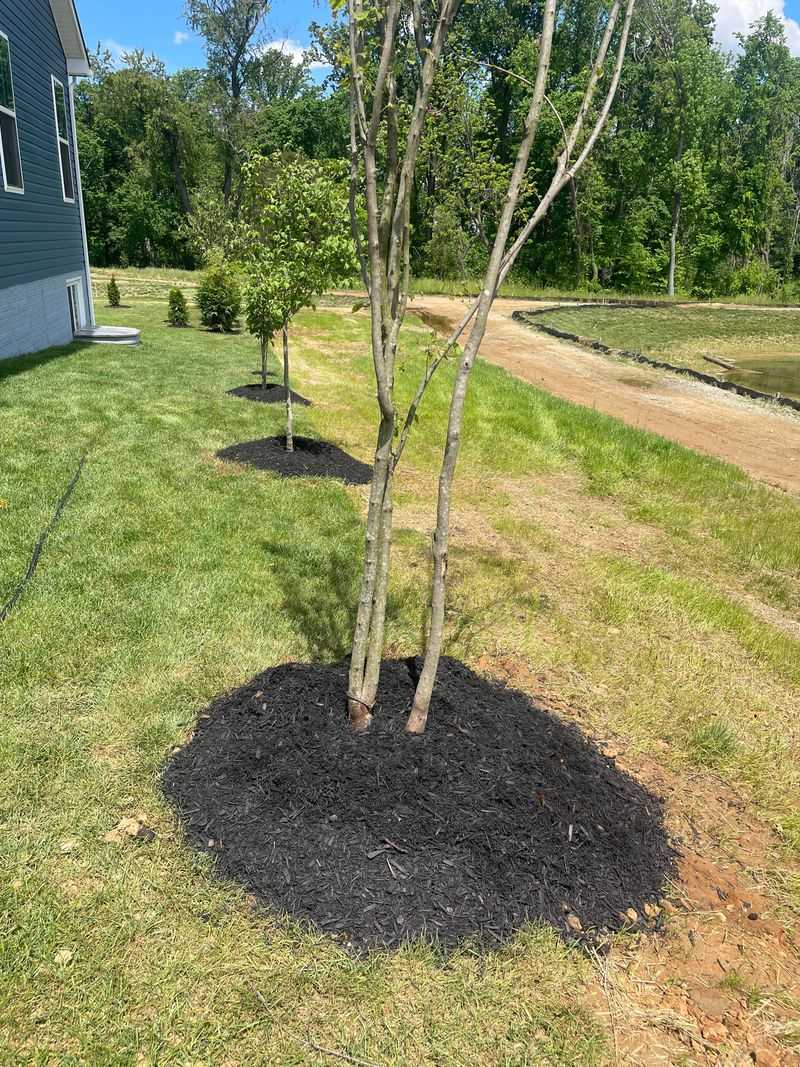 Plant At The Right Depth