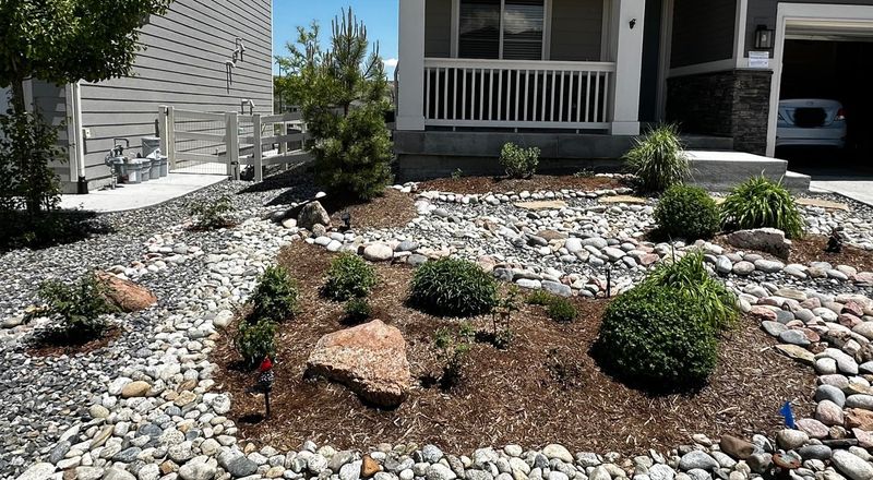 Start With Proper Drainage Before Adding Anything Else