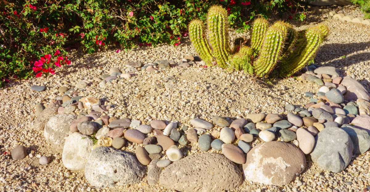 garden (featured image)