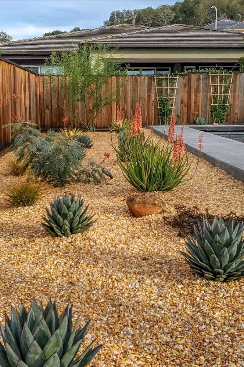 Agave And Red Yucca For Bold, Heat-Proof Structure