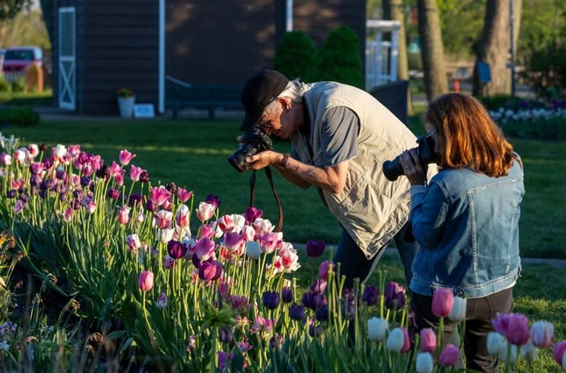 The Festival Offers Activities For All Ages