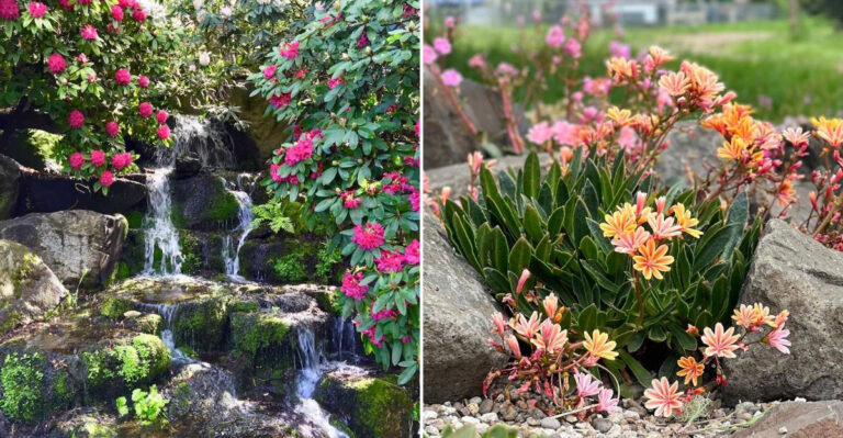 The Ultimate Road Trip To Oregon’s Botanical Gardens And Arboretums