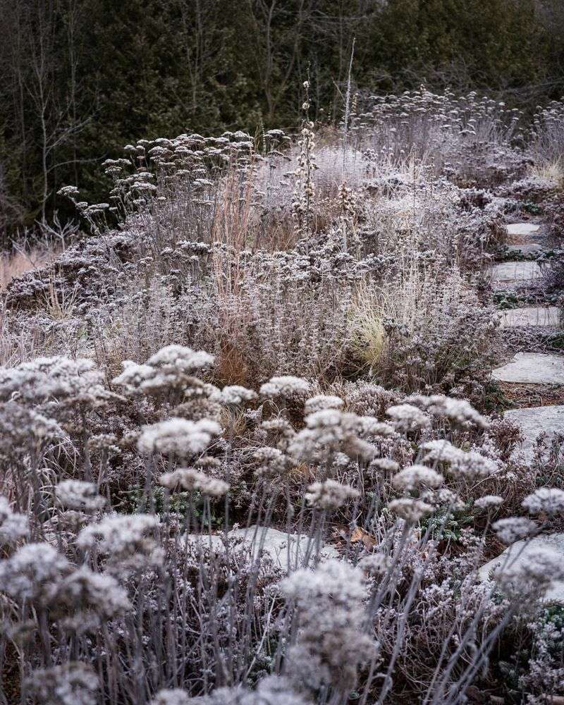 Some Northern Locations Can Still See Frost In Early June