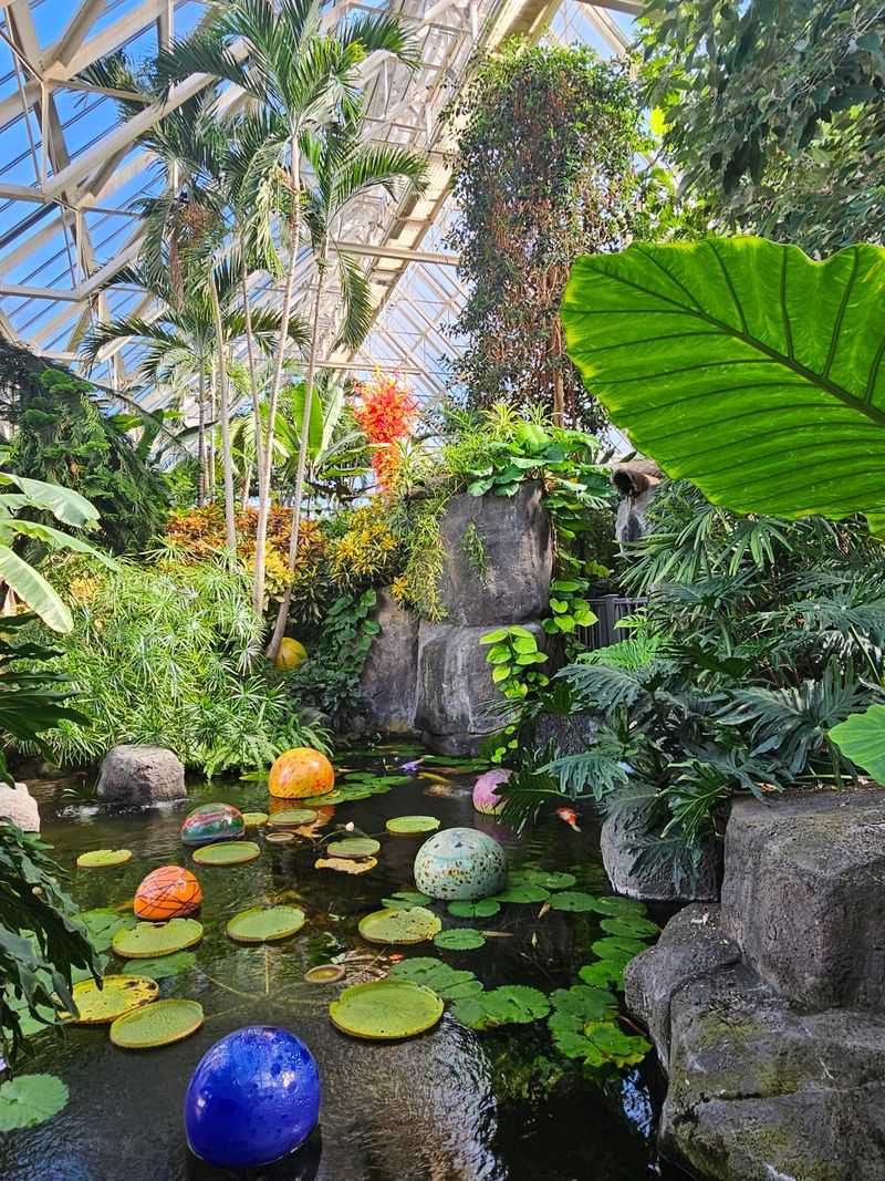 Pacific Island Water Garden: Tropical Paradise Indoors