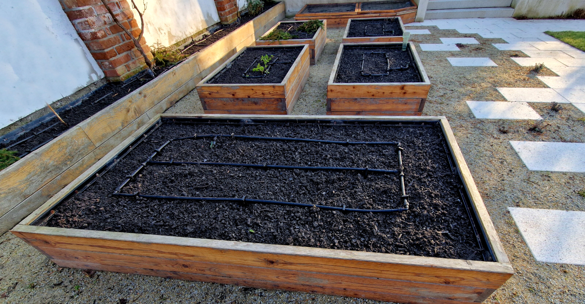 garden beds (featured image)