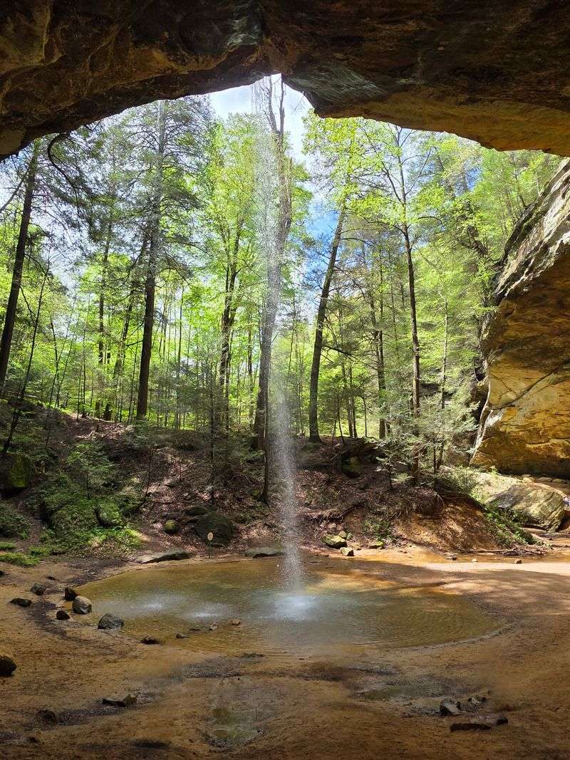 Hocking Hills Trails Burst With Spring Wildflowers