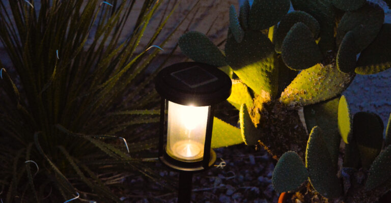 backyard (featured image)