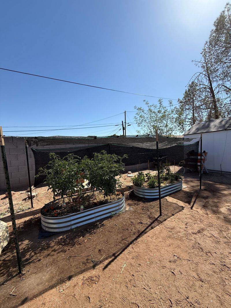 Temporary Shade Cloth Buys Time During Extreme Heat