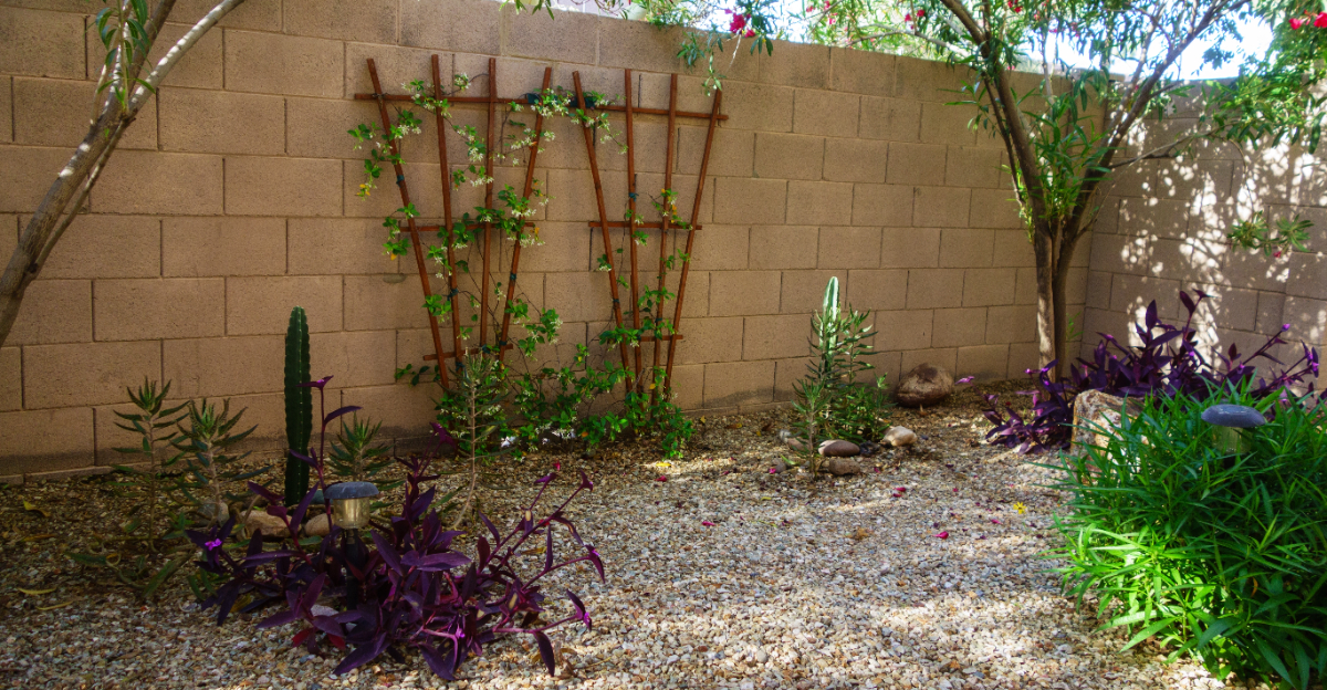 garden (featured image)