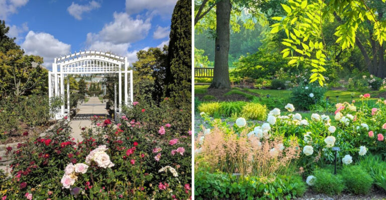 These Michigan Horticulture Gardens Need To Be On Your Visit List Next Time