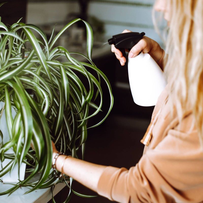 Adjust Your Watering Schedule For Cooler Weather