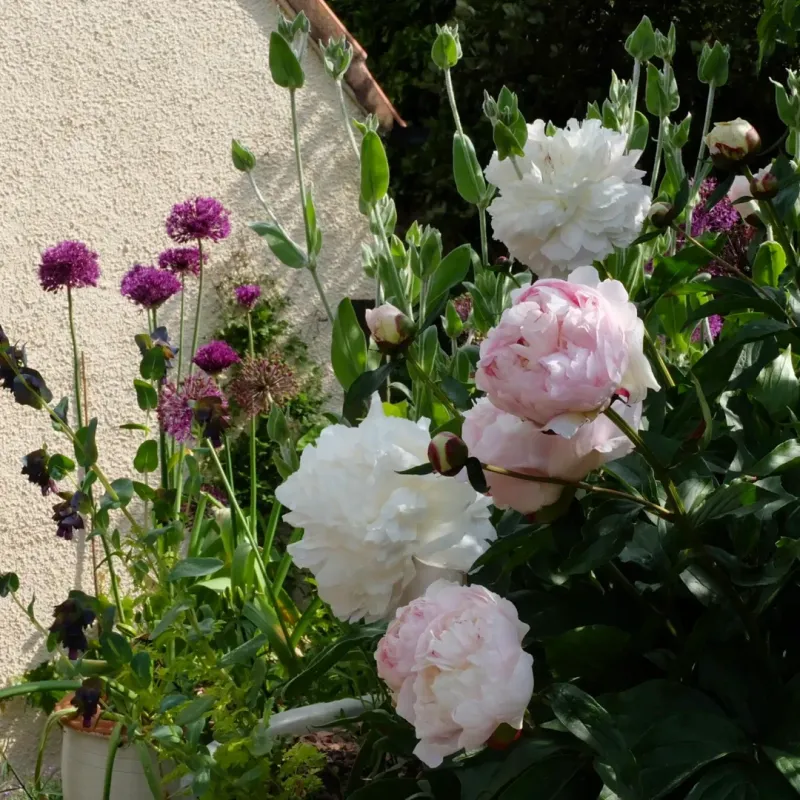 Thrive With Almost No Effort