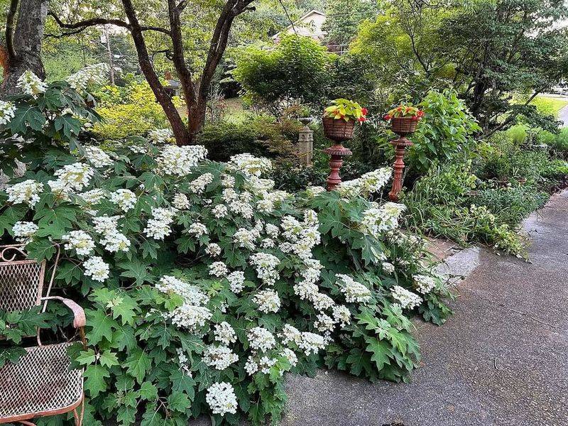 Test Soil Before Fertilizing To Avoid Overfeeding