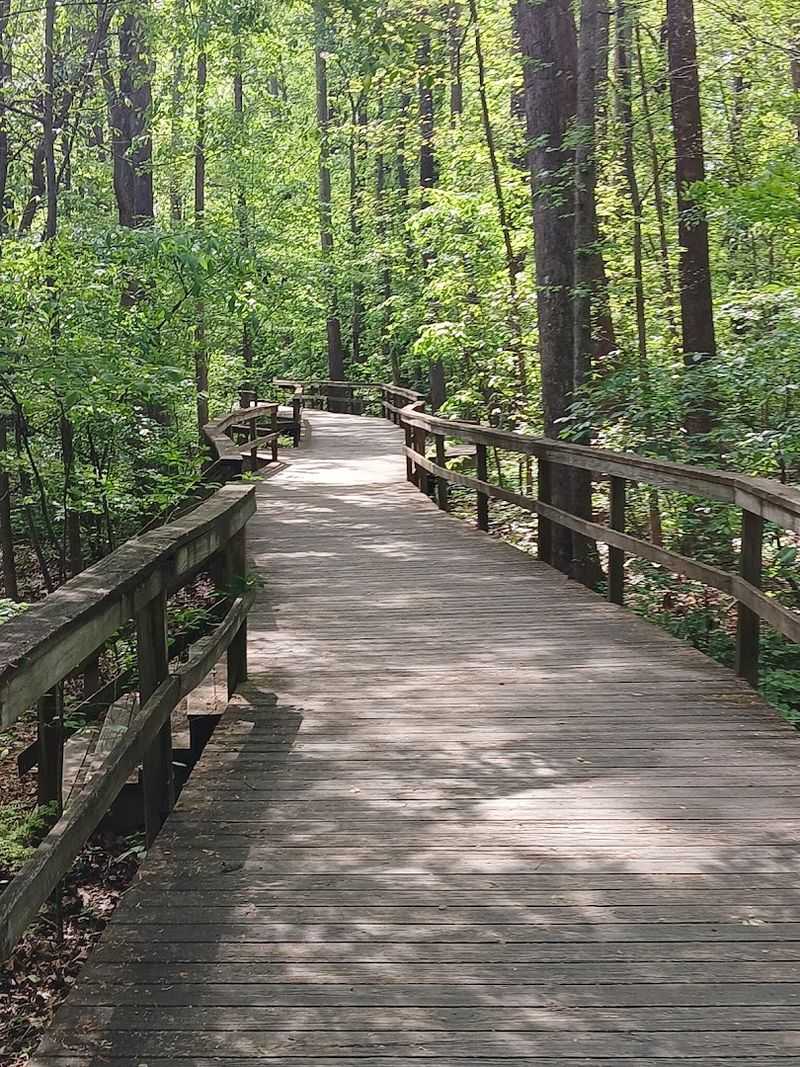 A Unique Urban Bog And Wetland Preserve In Greensboro