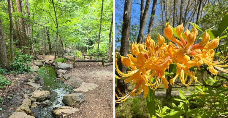 This Beautiful Garden At Benjamin Park In North Carolina Needs To Be On Your 2026 Travel List