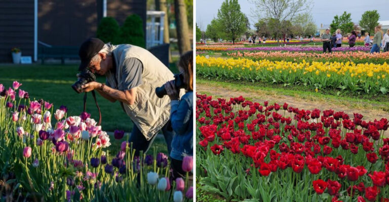 This Beloved Michigan Flower Festival Is One Of The Two Battling For The Title Of Best In The US