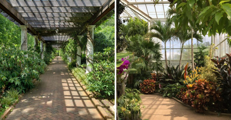 This Botanical Garden In North Carolina Is One Of The Best For Garden Lovers