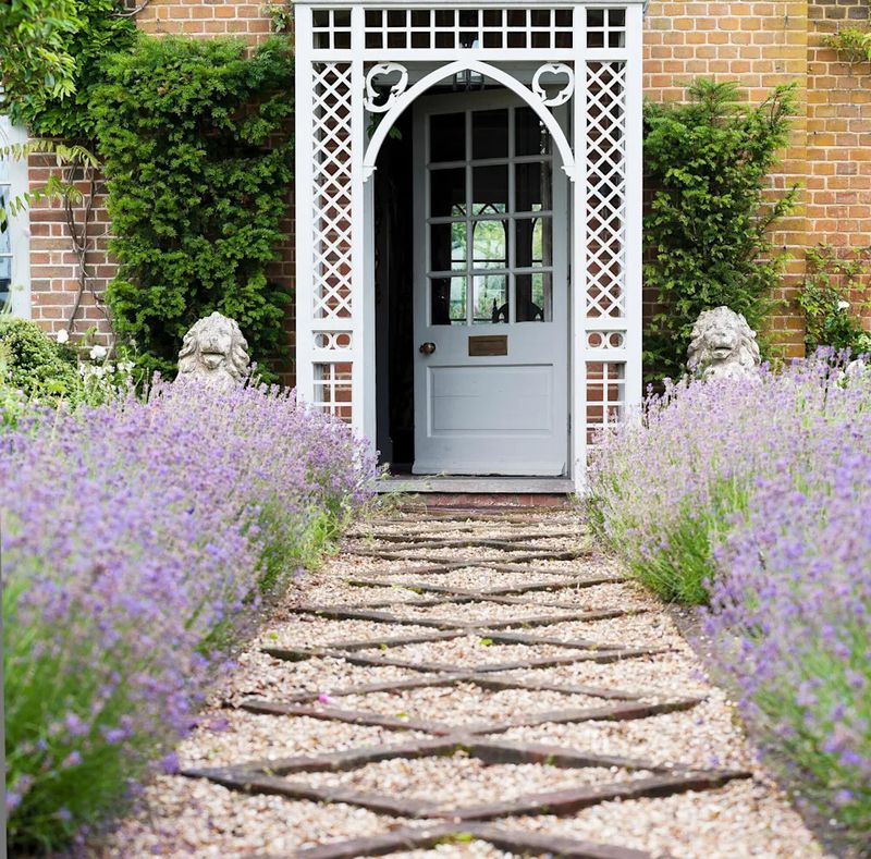 The Beautiful Purple Flowers Boost Your Home's Curb Appeal