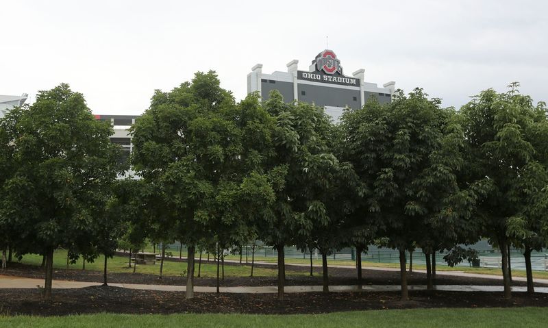 The Ohio Buckeye Became A Symbol Across The State