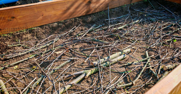 branches in raised bed