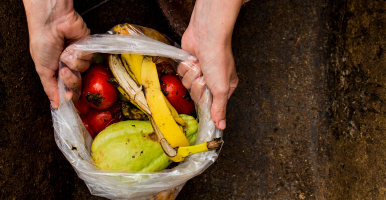This Is How Texas Gardeners Turn Kitchen Scraps Into Nutrient-Rich DIY Fertilizer