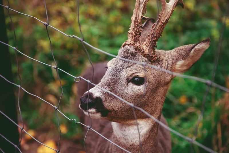 Install Physical Barriers (The Most Reliable Solution)