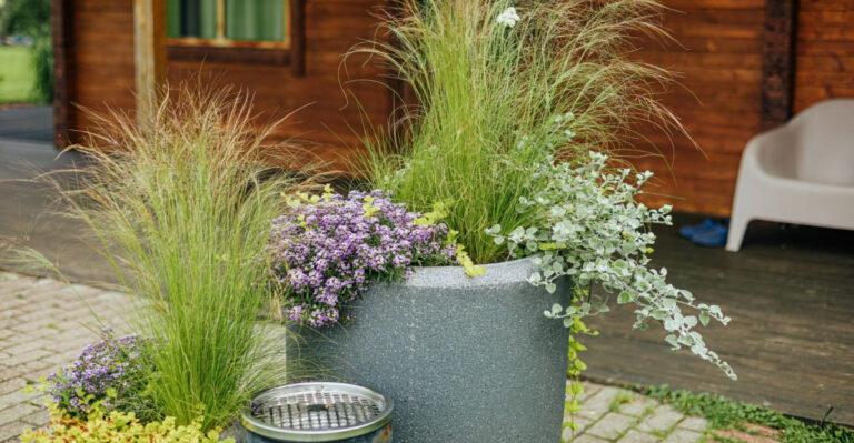 modern planter filled with ornamental grass, purple flowers, and cascading foliage
