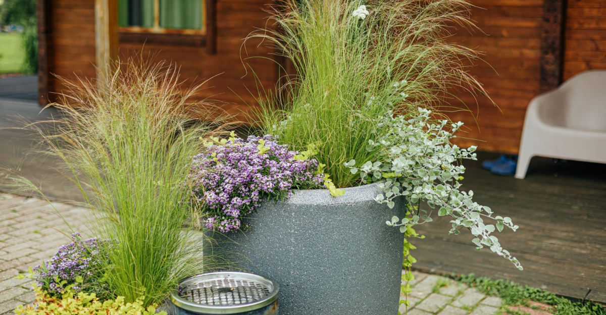 modern planter filled with ornamental grass, purple flowers, and cascading foliage