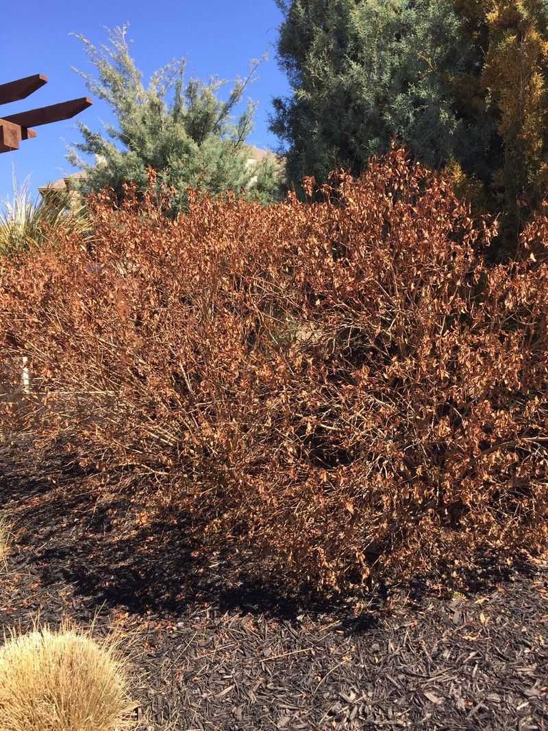 Wait Until The Worst Cold Has Passed