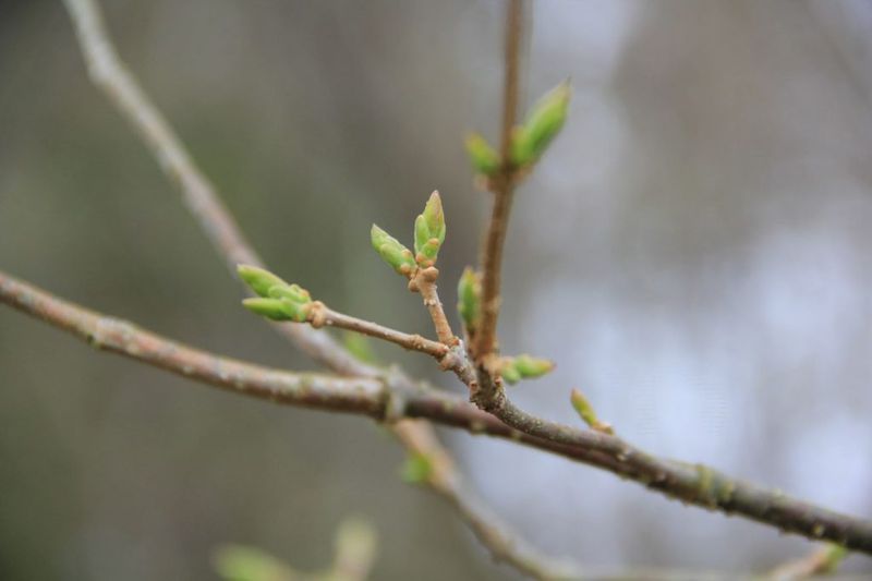Why Warm February Weather Matters In Texas?
