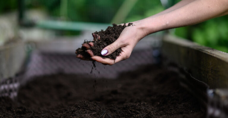 raised bed garden soil