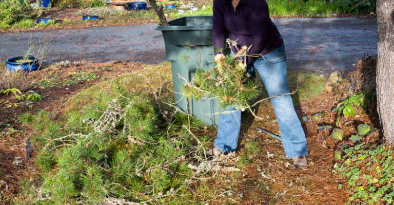 woman cleaning spring garden