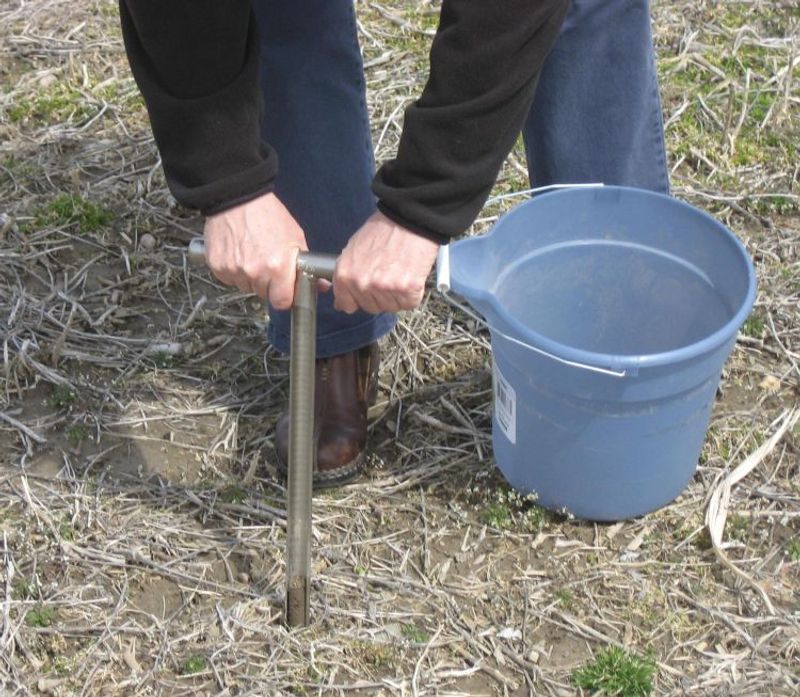 Test Your Soil Through MSU Extension