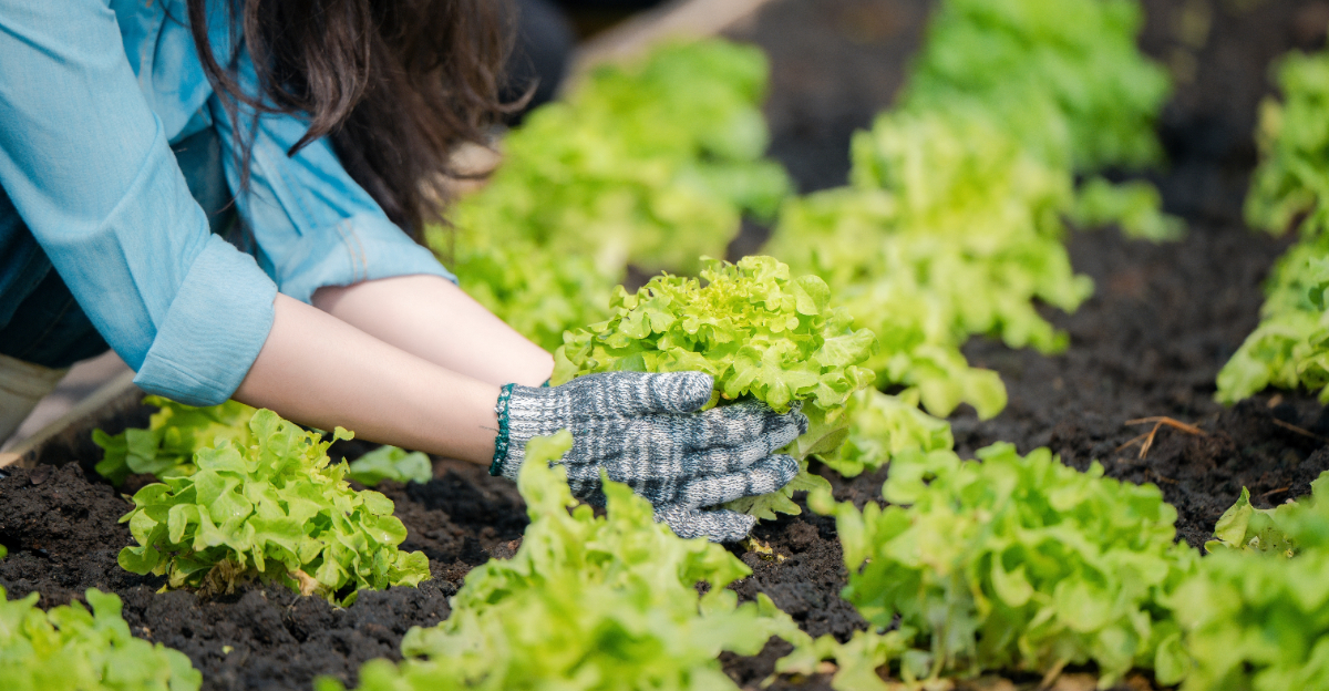 This Is Why Ohio Is So Great For Growing Vegetables At Home
