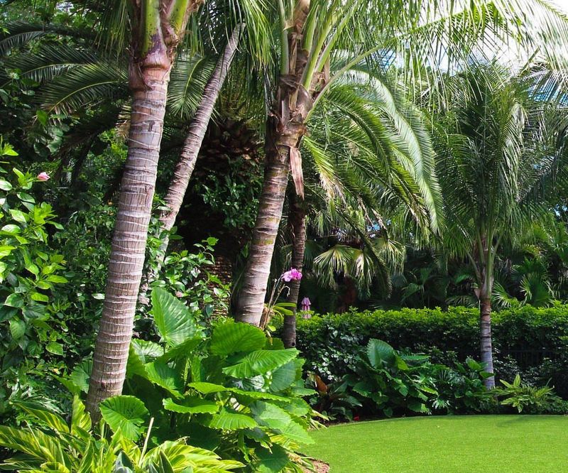 Follow The Odd Number Planting Rule