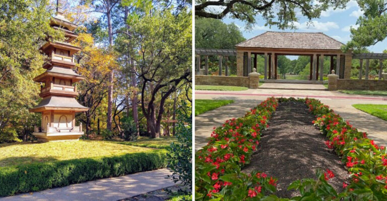 This Is Your Sign To Visit The Oldest Major Botanic Garden In Texas In 2026