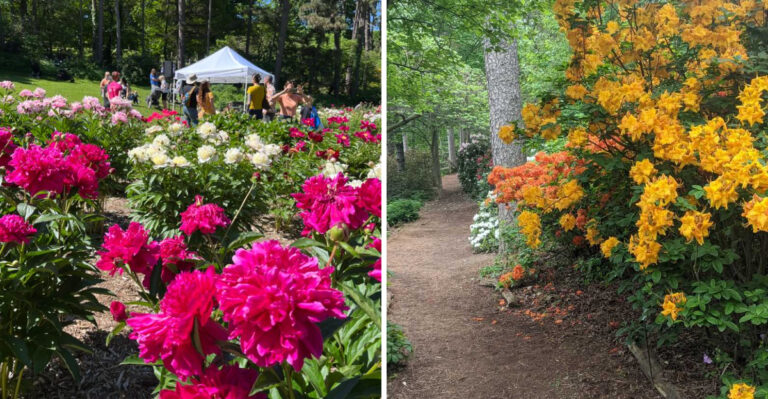 This Michigan Arboretum Is A Must Visit On Your Next Trip