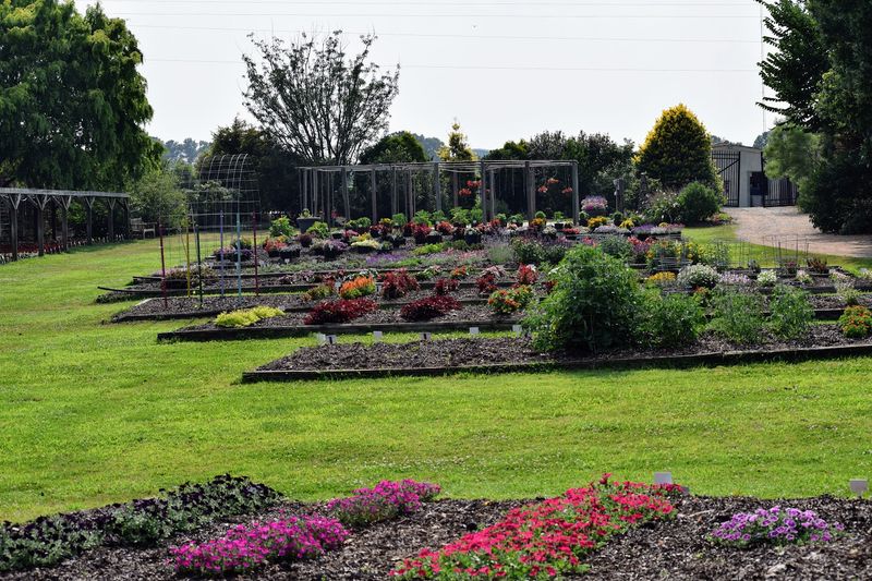 A Living Museum Of Diverse Plant Collections